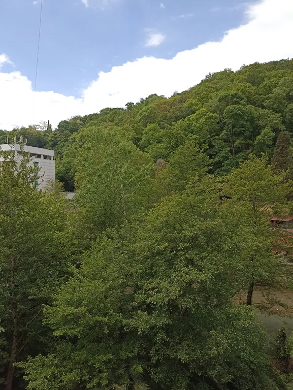 Квартира двухкомнатная на улице Глазунова, 50 м², Хоста — фото 14