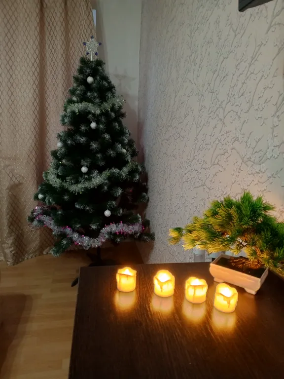 Квартира однокомнатная на улице Тимура Фрунзе - Оловянка, 30 м², Великий Новгород — фото 31