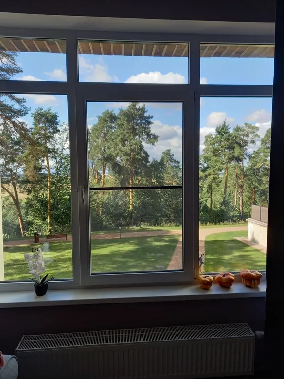 Квартира однокомнатная на улице Почтовой, 50 м², Рязань — вид из окна, фото 2