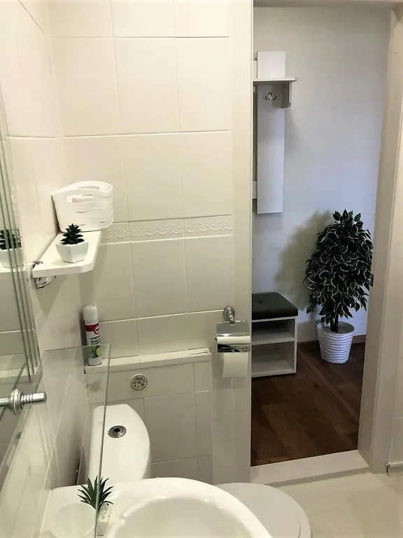 Квартира однокомнатная на улице Спегальского, 29 м², Псков — фото 14