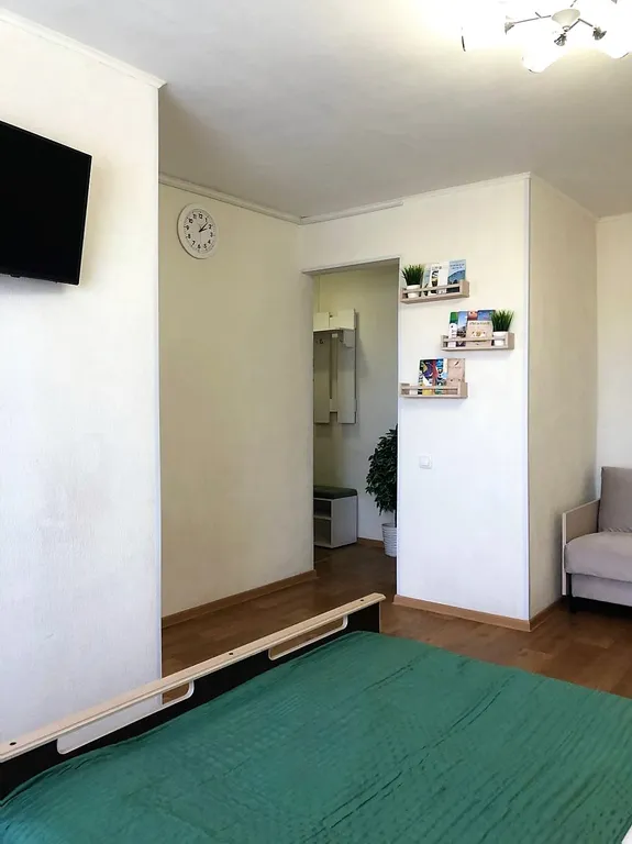 Квартира однокомнатная на улице Спегальского, 29 м², Псков — фото 5