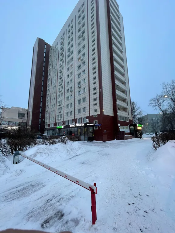 Студия однокомнатная у Владыкино, в Отрадном, 21 м², Москва — двор