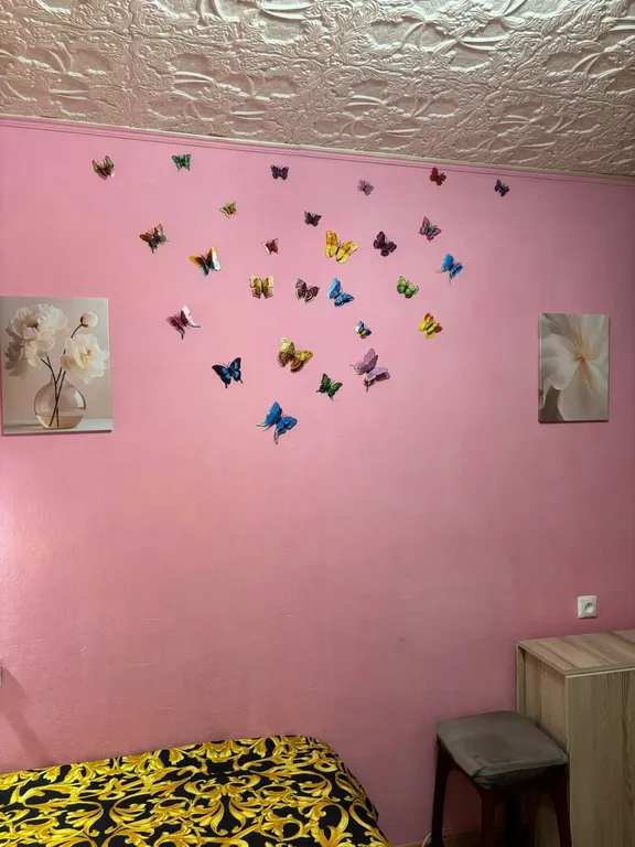 Квартира однокомнатная на шоссе Суздальском, 27 м², Ярославль — фото 4