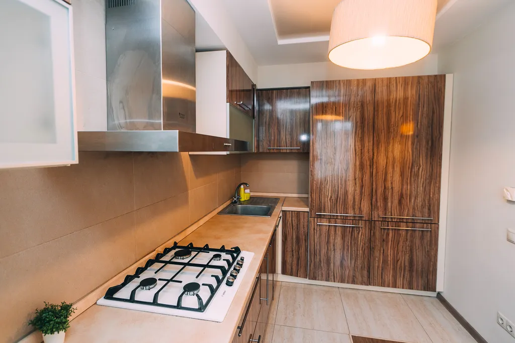 Студия однокомнатная в переулке Ново-Чернушенском, 45 м², Смоленск — кухня, фото 10