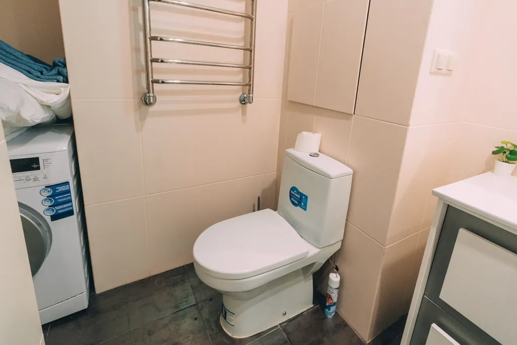 Студия однокомнатная в переулке Ново-Чернушенском, 45 м², Смоленск — ванная комната