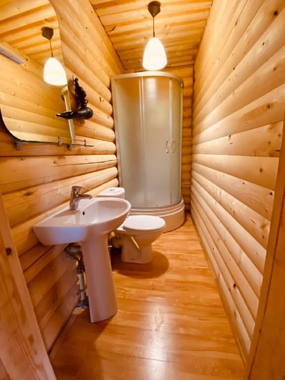 Двухместный номер с 1 кроватью  Делюкс с балконом — Теремок, фото 4 из 5