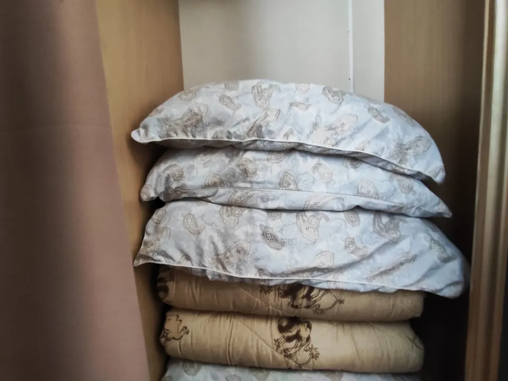 Квартира двухкомнатная в Фрунзенском, 45 м², Владивосток — фото 9
