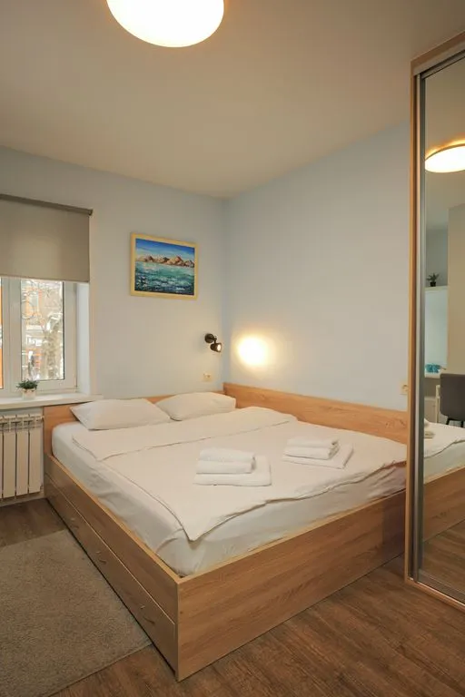 Двухместный номер с 1 кроватью комфортный