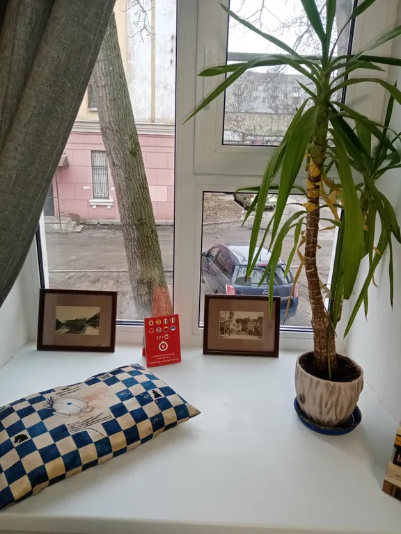 Квартира однокомнатная на улице Республиканской, 24 м², Ярославль — вид из окна