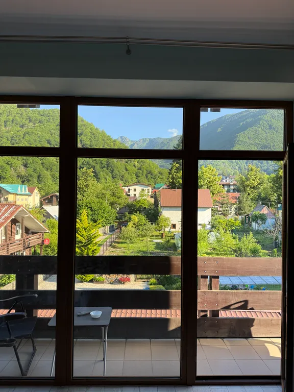 Студия однокомнатная в Адлерском, 40 м², Красная Поляна — вид из окна, фото 5