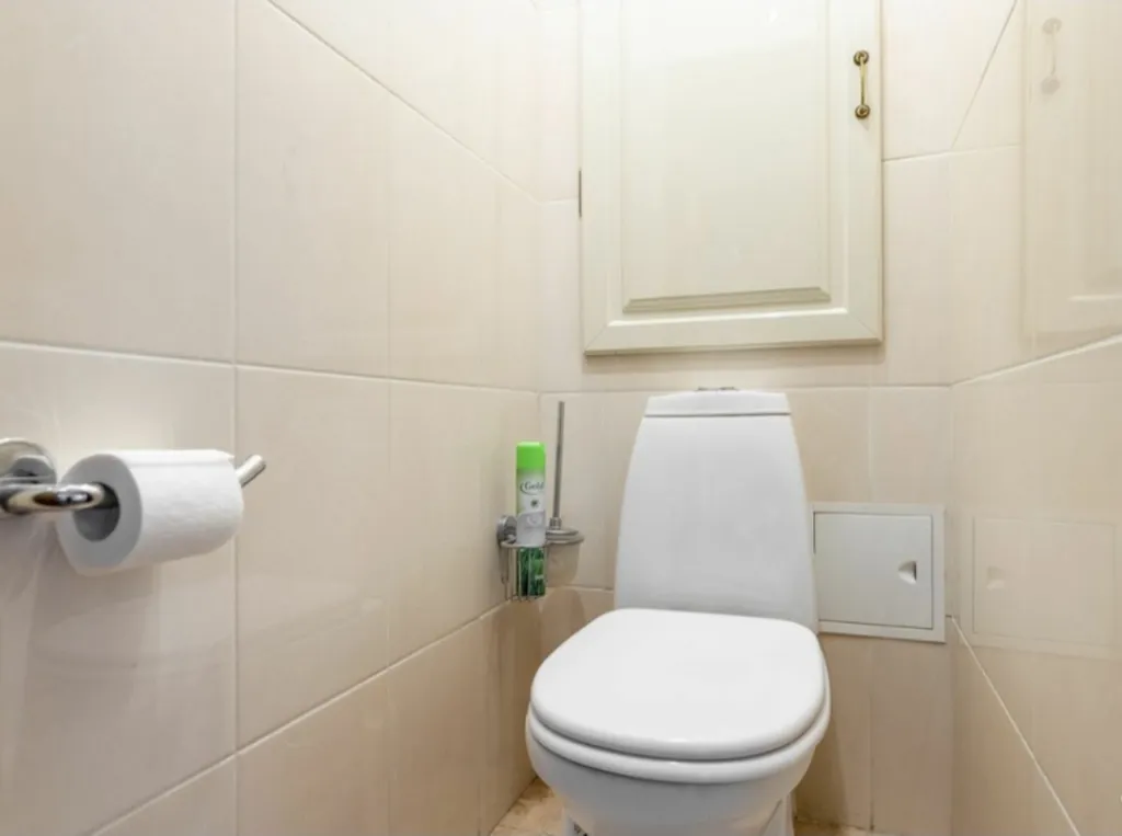 Квартира двухкомнатная у Мякинино, в Строгино, 60 м², Москва — ванная комната