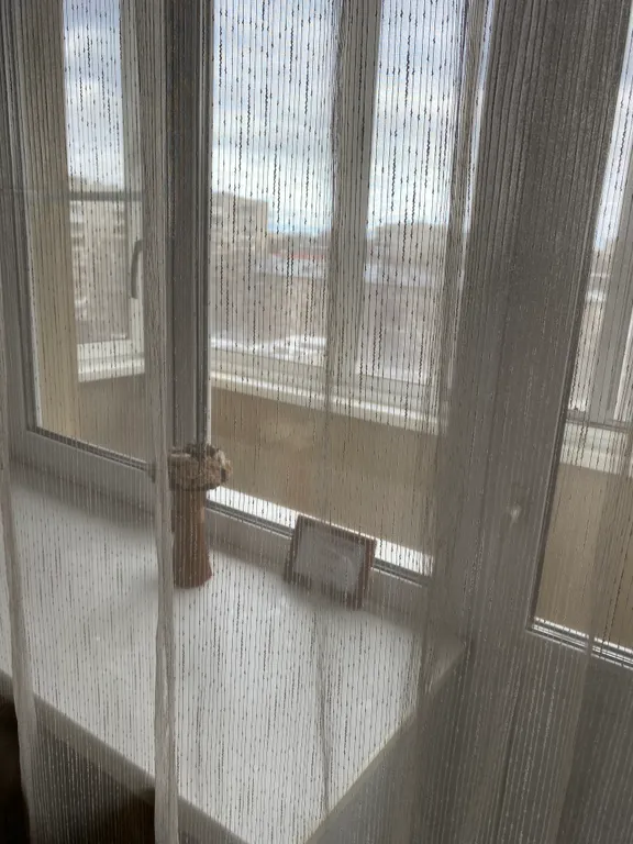 Квартира однокомнатная на улице Ухтомского, 34 м², Ярославль — вид из окна