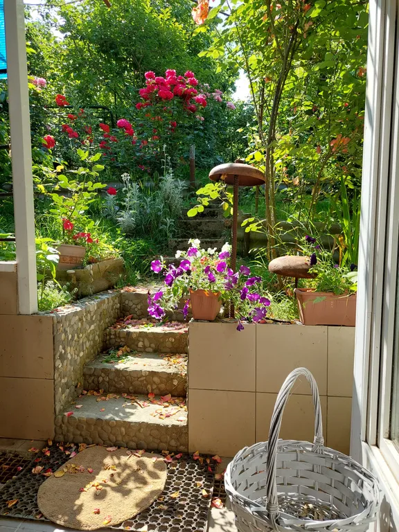 Дом в бамбуках в 500 метрах от моря