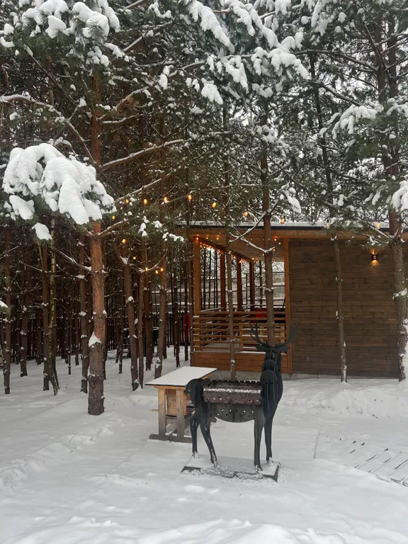 Дом 6-местный в деревни Малом Суходоле, 70 м², Городец — фото 4