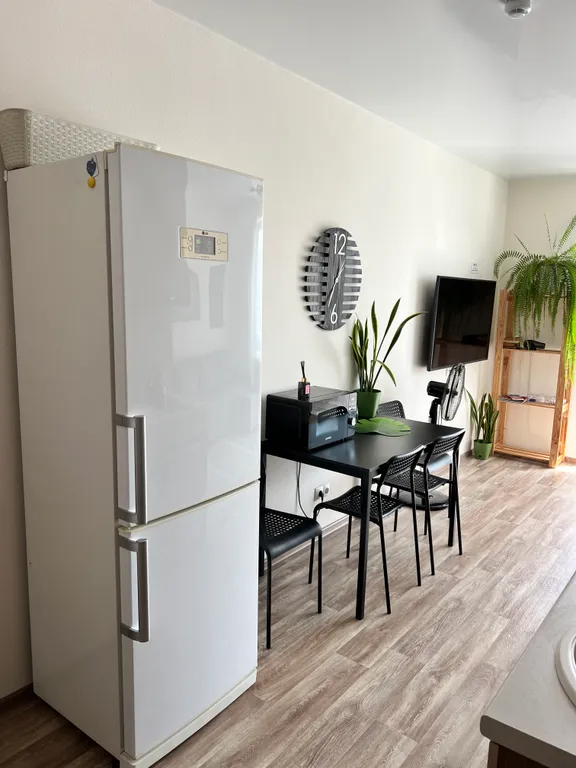 Студия однокомнатная на улице Майора Филипова, 28 м², Владивосток — кухня