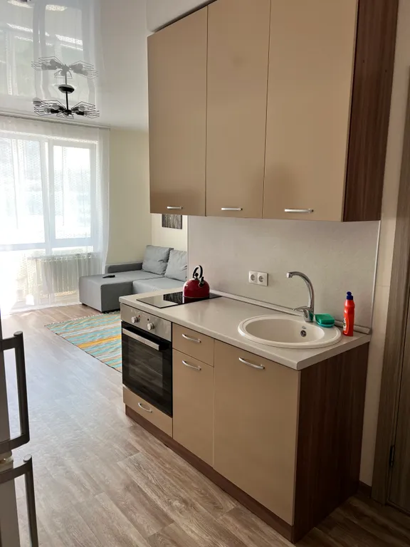 Студия однокомнатная на улице Майора Филипова, 28 м², Владивосток — кухня, фото 2