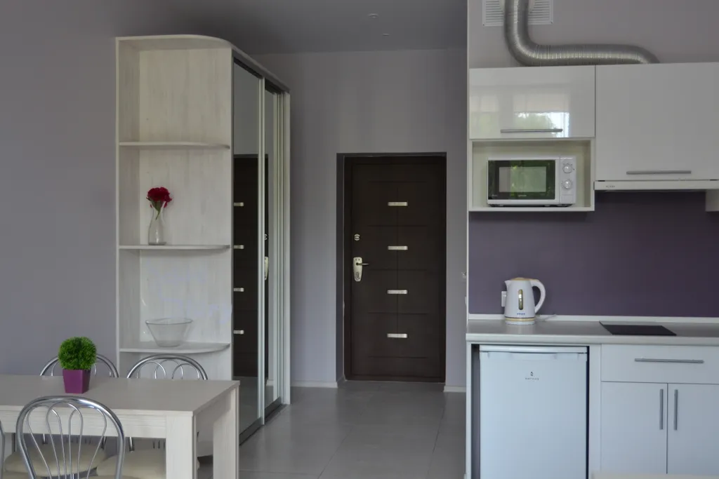 Апартаменты однокомнатные на улице Верещагина, 33 м², Светлогорск — фото 6