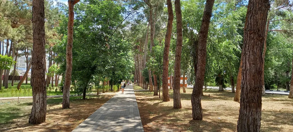 Апартаменты однокомнатные на проспекте Пионерском, 37 м², Анапа — фото 39