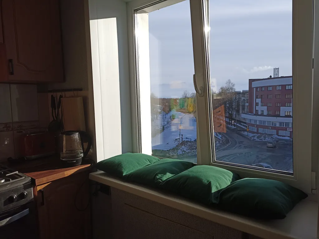Квартира однокомнатная на улице Фёдоровском Ручее, 34 м², Великий Новгород — вид из окна, фото 2