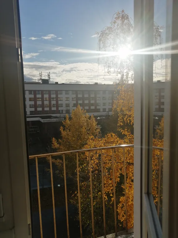 Квартира однокомнатная на улице Фёдоровском Ручее, 34 м², Великий Новгород — вид из окна