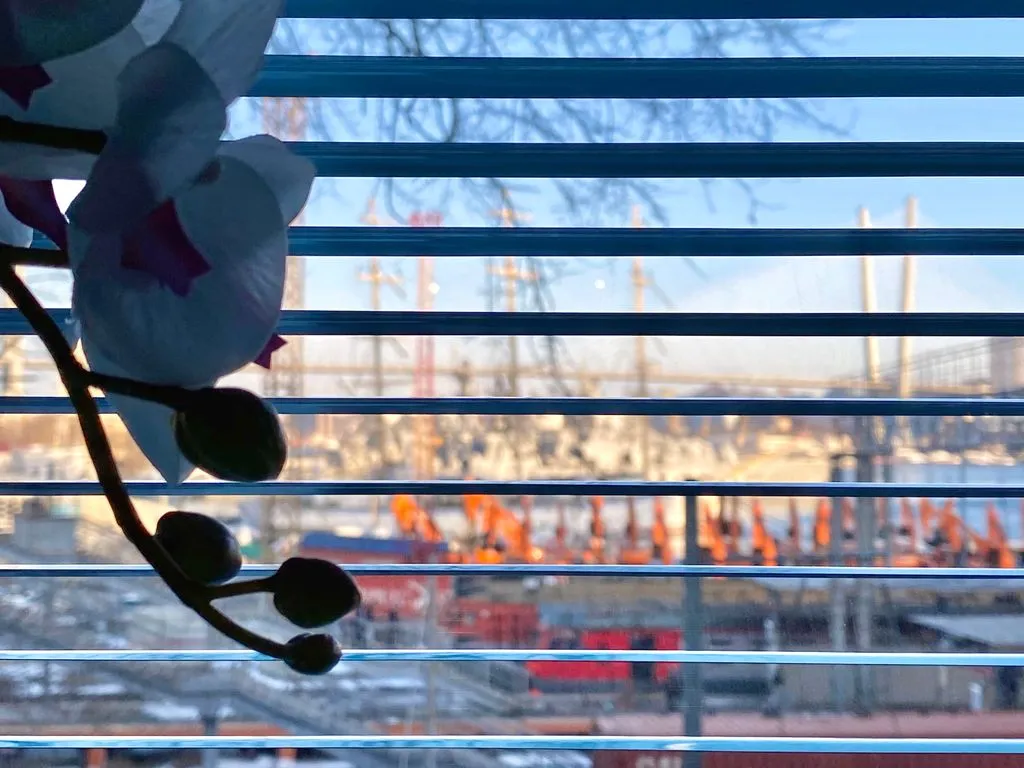 Трёхместный номер стандарт с видом на море