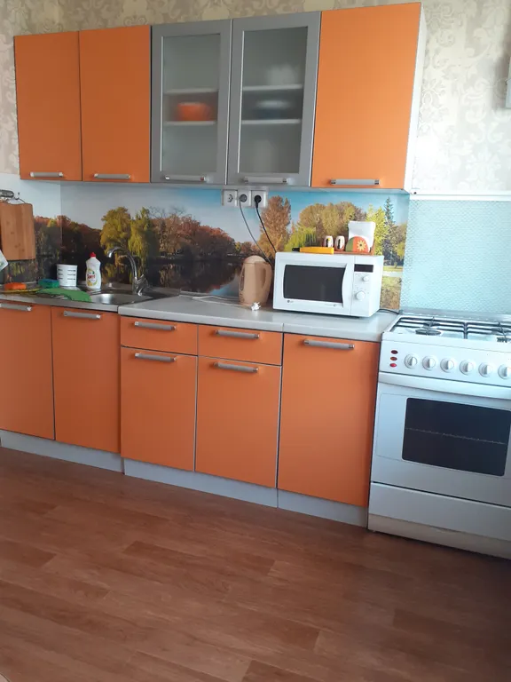 Квартира однокомнатная на улице Балтийской, 33 м², Борисовичи — кухня