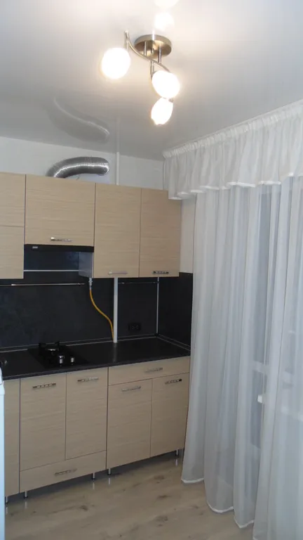 Квартира однокомнатная на улице Юбилейной, 29 м², Псков — кухня, фото 4