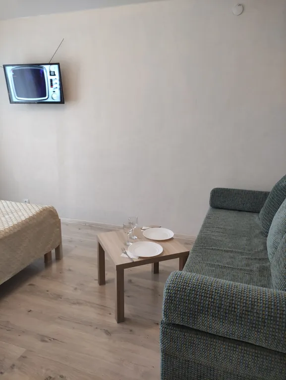 Квартира однокомнатная на улице Юбилейной, 29 м², Псков — спальня, фото 2