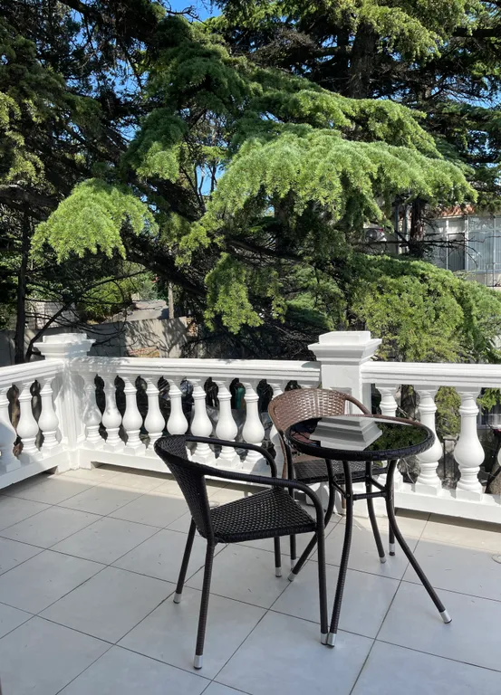 Студия однокомнатная на улице Маратовской, 27 м², Гаспра — вид из окна, фото 5