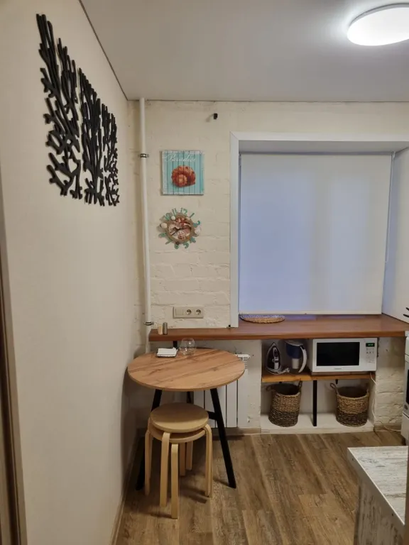 Квартира однокомнатная у Площади Габдуллы Тукая, в Вахитовском, 32 м², Казань — кухня, фото 4
