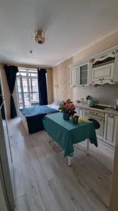 Фото гостя 1 — Квартира однокомнатная в Красносельском, 24 м², Санкт-Петербург