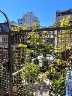 Фото гостя 6 — Квартира однокомнатная на улице К. Марксе, 45 м², Ялта