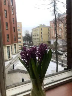Фото гостя 6 — Квартира однокомнатная у Горьковки, в Петроградке, 64 м², Санкт-Петербург