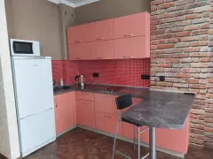 Фото гостя 2 — Студия однокомнатная у Маршала Покрышкина, в Центральном, 40 м², Новосибирск