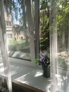 Фото гостя 6 — Студия однокомнатная на улице Водной Заставы, 20 м², Выборг