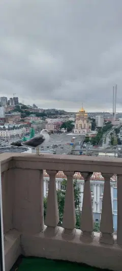 Фото гостя 5 — Студия однокомнатная в Фрунзенском, 17 м², Владивосток