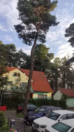 Фото гостя 12 — Квартира двухкомнатная в переулке Лермонтовском, 73 м², Светлогорск