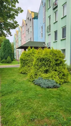 Фото гостя 6 — Квартира двухкомнатная на проспекте Калининградском, 55 м², Светлогорск