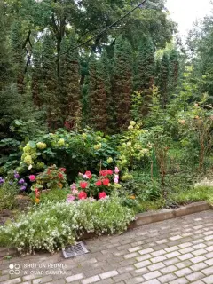 Фото гостя 11 — Квартира однокомнатная в Центральном, 48 м², Калининград