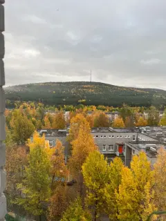 Фото гостя 11 — Квартира однокомнатная на улице Набережной, 32 м², Кандалакша