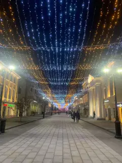 Фото гостя 7 — Квартира трёхкомнатная в Приокском, 70 м², Нижний Новгород