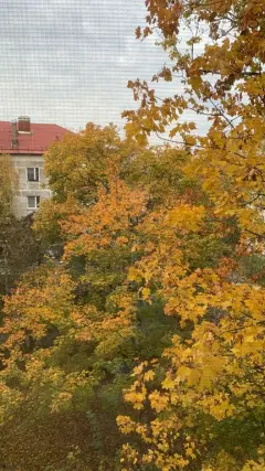 Фото гостя 10 — Квартира однокомнатная в Ленинградском, 33 м², Калининград
