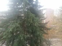 Фото гостя 1 — Квартира однокомнатная на улице Коллективной, 37 м², Кисловодск