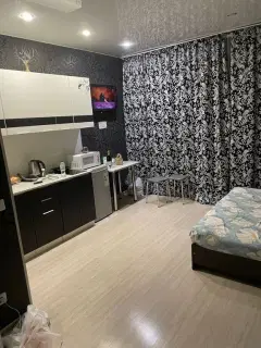 Фото гостя 1 — Студия однокомнатная у Маршала Покрышкина, в Центральном, 30 м², Новосибирск