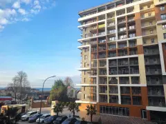 Фото гостя 1 — Апартаменты однокомнатные на улице Старошоссейной, 24 м², Дагомыс
