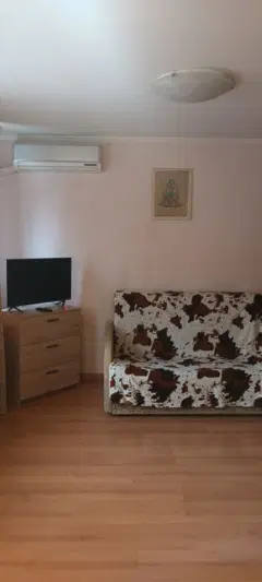 Фото гостя 1 — Квартира однокомнатная у метро Павелецкая, 30 м², Москва
