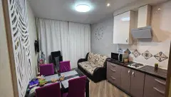 Фото гостя 4 — Квартира однокомнатная на улице Еремеева, 33 м², Петрозаводск