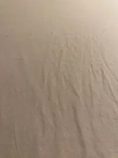 Фото гостя 8 — Студия однокомнатная на улице Вокзальной, 23 м², Выборг