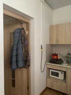 Фото гостя 7 — Квартира однокомнатная на улице Шаумяне, 28 м², Кисловодск