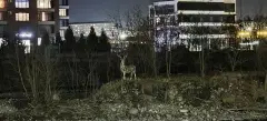 Фото гостя 4 — Квартира двухкомнатная на улице Карла Маркса, 70 м², Владикавказ